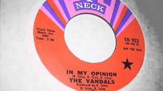 Video thumbnail of "In My Opinion-The Vandals-1969"