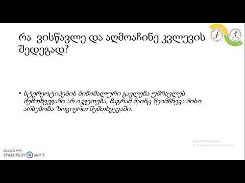 ვიდეო რეფლექსია, ბექა ქათამაძე