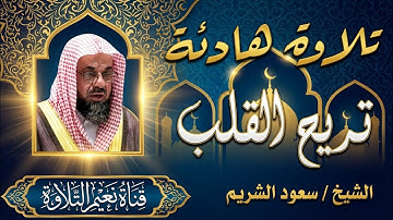 صوت يملأ القلب طمأنينة  الشيخ سعود الشريم يتلو آيات تبكي الحجر