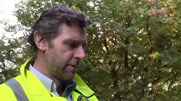 Parex Paraguard AG on Monorex GM Render System