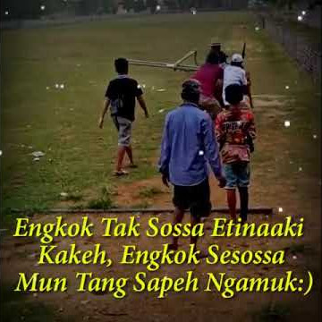 story Kerapan sapi