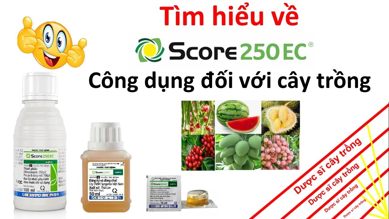 Công dụng Score 250EC quản lý bệnh trên cây trồng | Defenoconazole ...