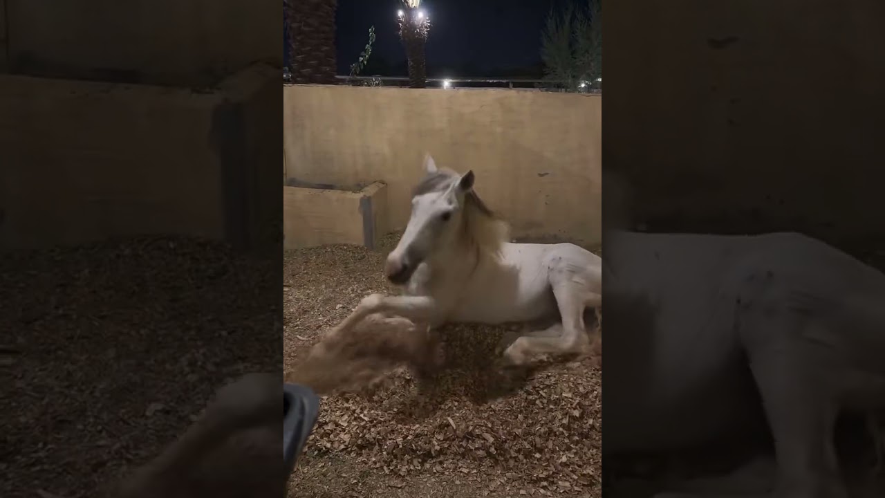 عبدالله غربي 21 فبراير تغطية جادة الخرج 