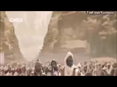 لهذا السبب سمي الامام علي اسد الله الغالب