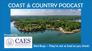 CAES Podcast with Gale & Katherine - Bed Bugs, They're Not As Bad As You Think