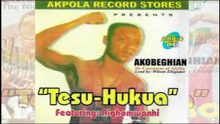 WILSON EHIGIATOR AKOBEGHIAN - TESU-HUKUA (full Album) AKOBE MUSIC