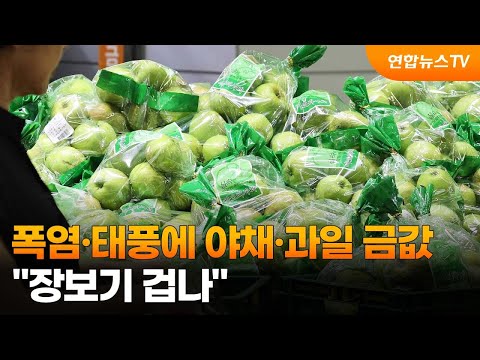 폭염·태풍에 야채·과일 금값…&amp;quot;장보기 겁나&amp;quot; / 연합뉴스TV (YonhapnewsTV)