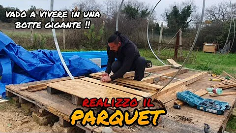 Quanto pesa Nesta?
