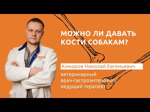 Можно ли давать кости собакам и кошкам? // Комаров Н. Е.