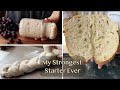 My Strongest Starter Ever – Made from Grape Must! Naturally, Ideal for All Breads and Sweets Mp3 Song