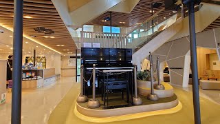 [Newest Ferry]Enjoy the most luxurious 5-hour voyage ever in JAPAN! | TAKAMATSU(Udon) - KOBE