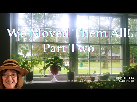 Finding A Way to Get All My Plants...And The Rest of the Furniture to The New House. Part Two