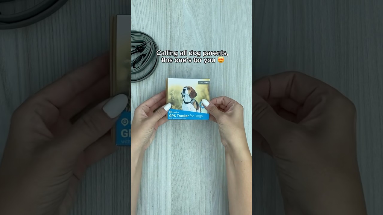 Tractive GPS - for dogs who think ‘stay’ is optional 🤭 