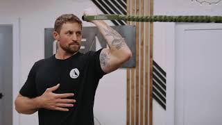 High Cable/Band Scaption Bicep Curl