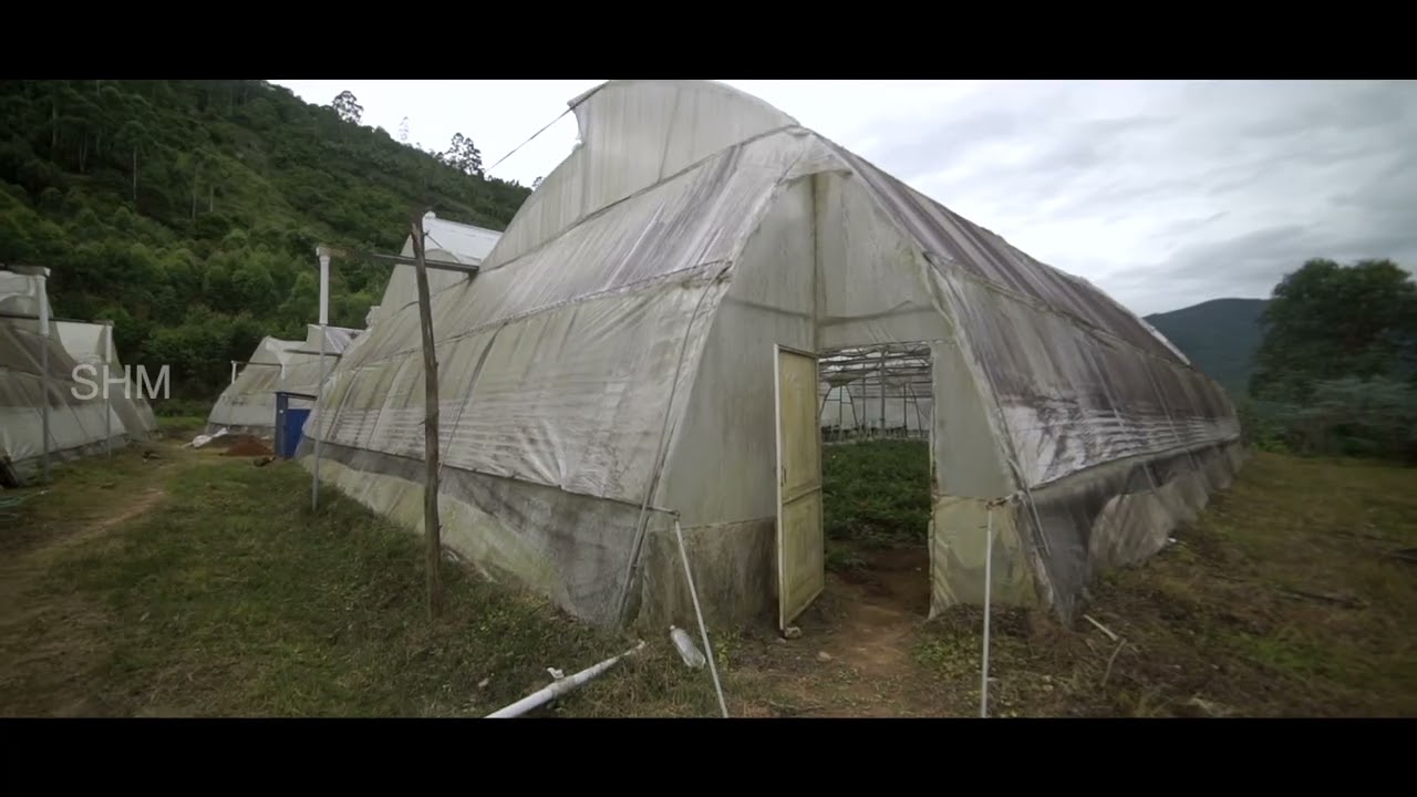 SHM Kerala || Poly House  Shri  Sojan Vallimattom, Idukki