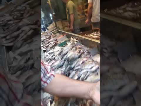 اسعار الاسماك في محلات ابو فارس