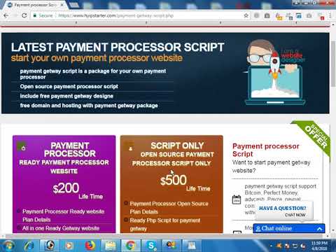 payment processor scripts developer