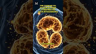 The Kitchen Oil That Takes Two Years to Leave Your Body