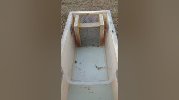 No Drown Hive Top Feeder