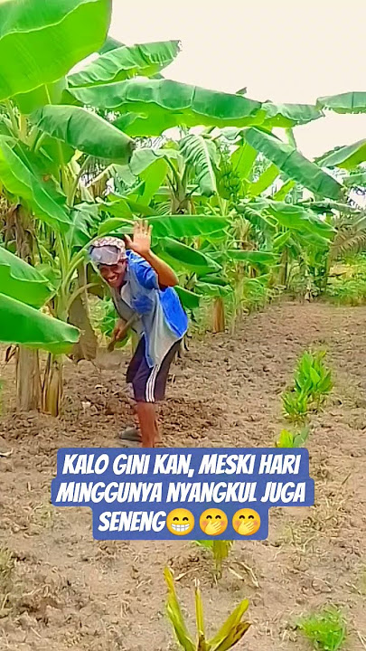 abang nyangkul dulu ya sayang😁🤭😆 #shortsyoutube #shortsvideo #shortskomedi #comedyshorts #vira