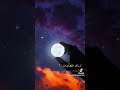 لن أنسى الموقف الذي جعلني أقف أمامه بقسوة بينما كنت بداخلي أحمل عطف العالم كله