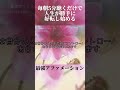 聴くだけで人生が勝手に好転し始める｜最強アファメーション