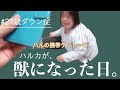 遂に獣になったｗｗｗ【27歳ダウン症YouTuber】