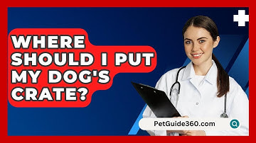 Where Should I Put My Dog