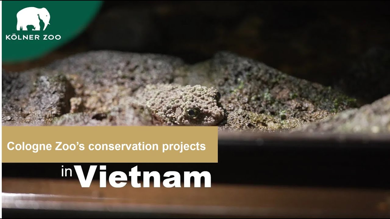 Prof. Dr. Thomas Ziegler informs about Cologne Zoo’s conservation projects in Vietnam