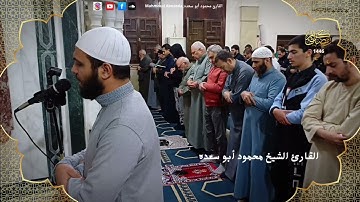 تلاوه خاشعه 19 | للقارئ الشيخ محمود أبو سعده اليله السابعه رمضان 1446