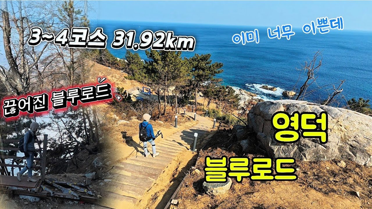 영덕 블루로드 3~4코스 31.92km 🌊 바람의 언덕 넘어, 끊어진 블루로드