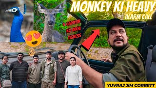 TIGER SIGHTING HONE K PURE CHANCES HAI 😄 SUMMER MAIN JUNGLE SAFARI #yuvrajjimcorbett