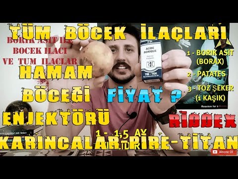 Video: Hamamböceği Borik Asit: Yumurta Ve Unlu Tarifler, Oranlar. Toplarda Losyon Ve Sıvı Zehir. Nasıl Pişirilir? Hamamböceği Nasıl Zehirlenir? Toz Nasıl çalışır?