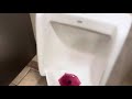 Walmart Back Men’s Restroom Full Shoot (new iPhone 16e)