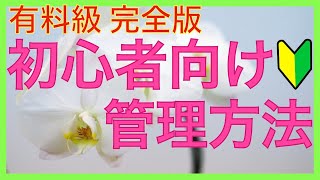 【完全保存版】胡蝶蘭の育て方！初心者でもわかりやすくゼロから解説【超有料級】