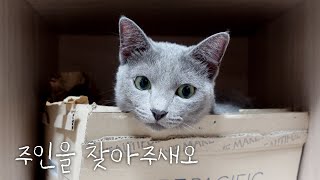 Cat Temporary Care, Cat Adoption, Cat Fellowship: A new guest has arrived! by 젤리공작소 (4마리 고양이) 4,036 views 2 years ago 3 minutes, 27 seconds