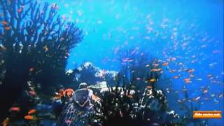 The Ocean Voice (Native american music)
