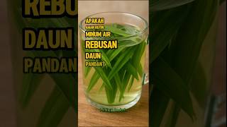 Download Lagu Apakah Aman Rutin Minum Air Rebusan Daun Pandan? #hidupindah MP3
