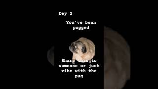 Pugging day 2 #pugged #granturismo #ebike #escooter
