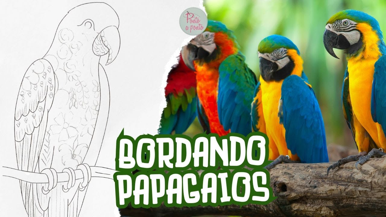 PROJETO JARDINS E PAPAGAIOS - Bordado Livre com Sissi