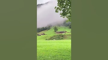 وَلَمَّا جَاءَ مُوسَىٰ لِمِيقَاتِنَا/مقطع قران قصير تلاوة خاشعة الشيخ الشاب عمر الدريويز
