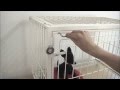 スタイリッシュで便利なペットケージ用リングカギ　by extail