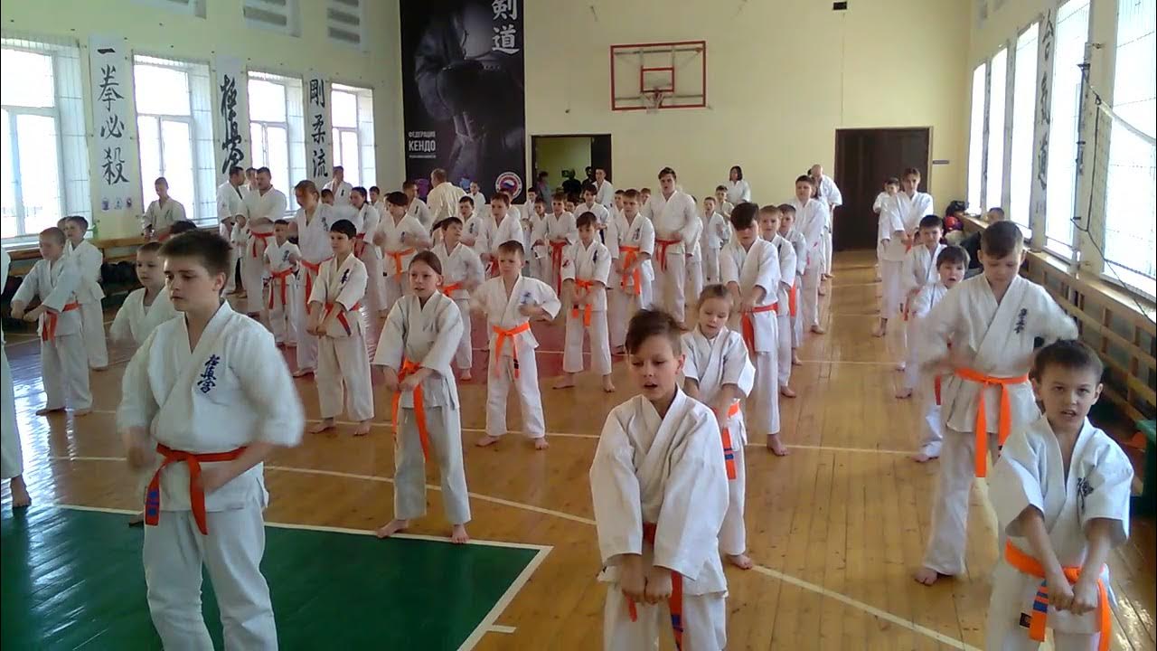 Всестилевое каратэ Йошкар Ола