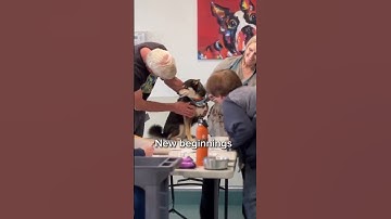 For Any Support Click Our Link In Bio To Help. All Pledges You Make To Support Are Appreciated!🙏