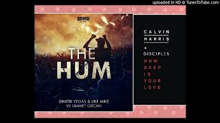 The Hum Vs How Deep Is Your Love(mashup)