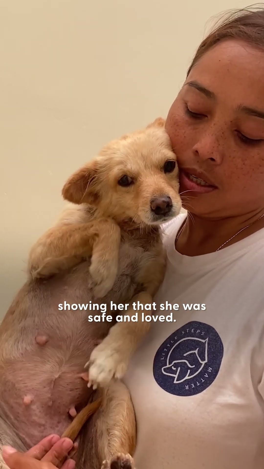 Dog Found In Forest Completely Transforms | The Dodo