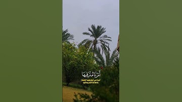 وإذا أردنا أن نهلك قرية// القارئ ياسر الدوسري