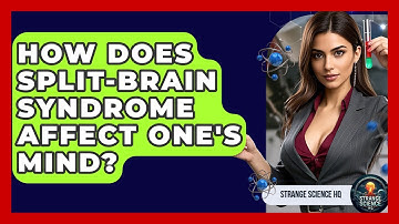How Does Split-brain Syndrome Affect One