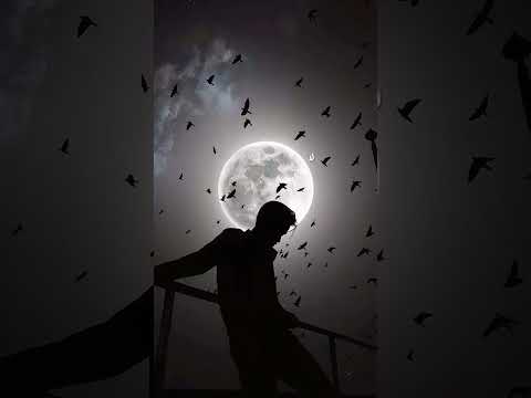 نحن لا نعرف النوايا اقتباسات كلام من القلب أقوال أقوال وحكم حالات واتس حكمة اليوم حكمة كلمات