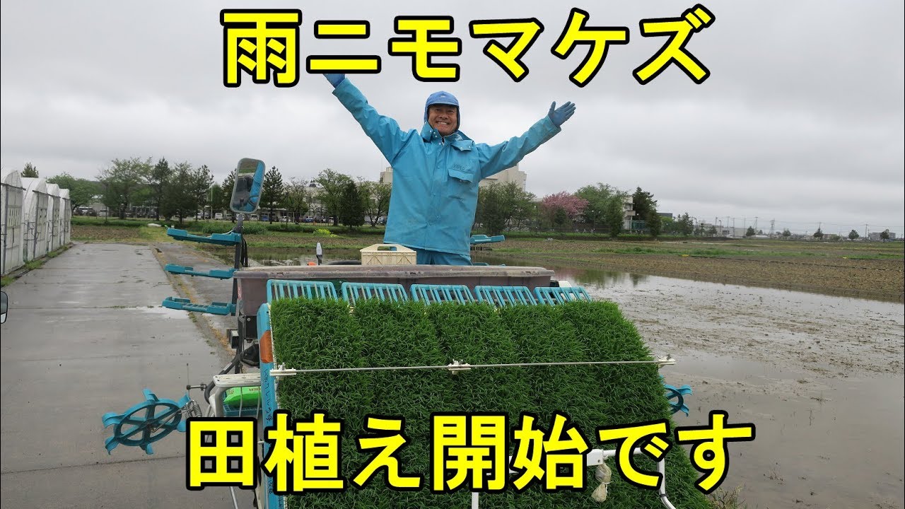 雨中の田植え開始 額縁植えのマーカーをレーキで 19 Youtube